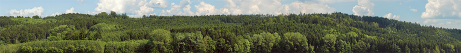 Obergrabern_9_11_2020-